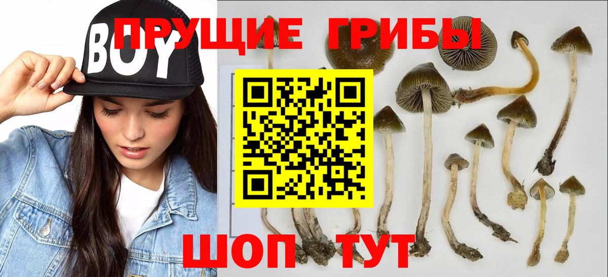 Галлюциногенные грибы Magic Shrooms Уварово